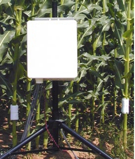 LM-P105T探针式植物茎流测量系统