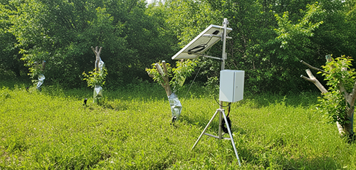 植物生态仪器图片